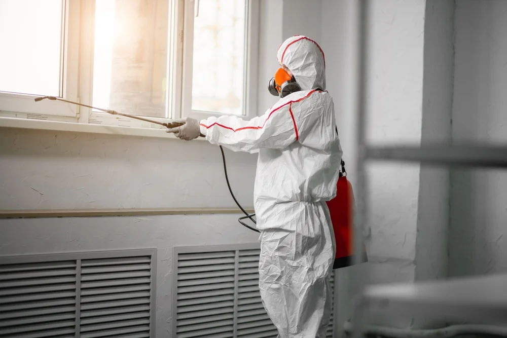 Professional mold remediation services in Gilmanton, NH